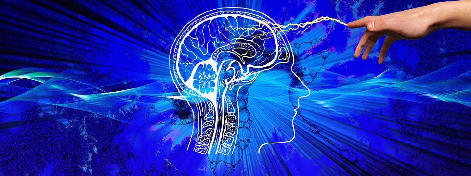 knowledge-3914811__480